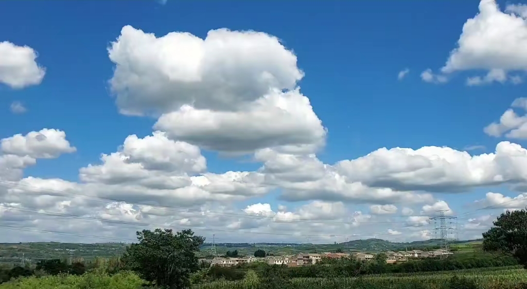 自在林商贸